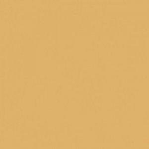 Paint and Paper Library Silken Flank Paint